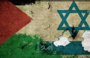 فارسين: الرئيس عباس وجّه بإعداد خطة عمل لمخرجات مؤتمر حل الدولتين