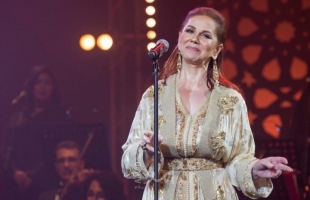 القصة الكاملة لأزمة صوت ميادة الحناوى وحقيقة لجوئها لـ AI