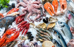 أنواع السمك المفيدة لصحة قلبك