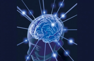 10 عادات يومية تضعف وظائف المخ والذاكرة