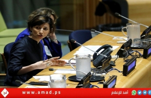 ألبانيز: إسرائيل تستخدم "الإذلال العلني" أداةً لإخضاع الفلسطينيين