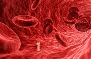 كيفية فحص سكر الدم بشكل صحيح في المنزل