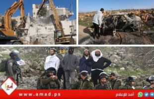 تقرير: معاناة المزارعين في موسم قطاف الزيتون هذا العام أشد قسوة من معاناة العام الماضي