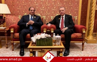 السيسي وأردوغان يؤكدان على تثبيت وقف النار في غزة وحقوق الشعب الفلسطيني