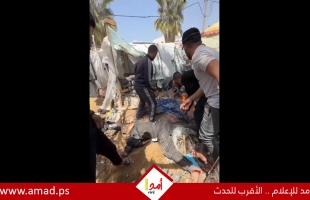 الصحة: ارتفاع ضحايا الحرب العدوانية على قطاع غزة إلى 36050 شهيد