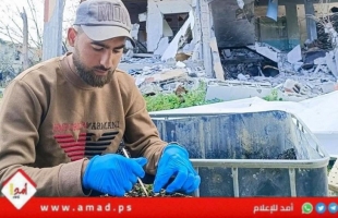مبادرة لزراعة الأراضي شمال قطاع غزة وإنقاذ الأهالي من المجاعة- صور