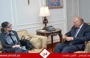 شكري والمقررة الأممية ألبانيز يؤكدان حتمية وقف الحرب الإسرائيلية ضد غزة