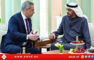 بن زايد ووزير الخارجية التركي يبحثان مساعي وقف إطلاق النار في غزة