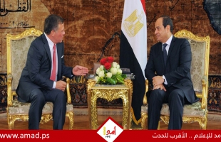 السيسي والملك عبدالله يؤكدان رفضهما تصفية القضية الفلسطينية وضرورة وقف إطلاق النار في غزة
