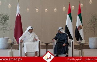 أمير قطر ورئيس الإمارات يؤكدان دعم بلديهما لجهود وقف إطلاق النار في غزة