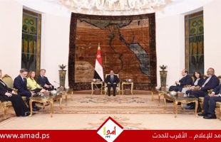 السيسي لبلينكن: حان الوقت لإنهاء حرب غزة بداية لقيام دولة فلسطين