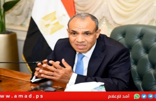 وزير الخارجية المصري: نعمل مع الشركاء لإقناع "حماس" بقبول خطة ترامب