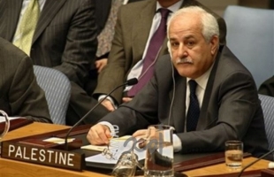 منصور:  حرب غزة مسحت أسر كاملة من السجل.. ووقف إطلاق النار أنقذ آلاف الأرواح