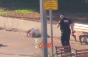 محدث - تل أبيب: عملية طعن في حولون وفاة شخصين وإصابة أخرين - فيديو