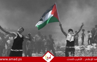 تقرير: المقاومة الشعبية.. بين النجاح والفشل