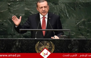 أردوغان: على الأمم المتحدة تفعيل القوة ضد إسرائيل في غياب إرادة مجلس الأمن