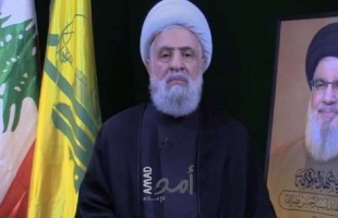 قاسم: نزع سلاح حزب الله بالقوة خدمة للعدو الإسرائيلي وعليكم إزالتها القاموس