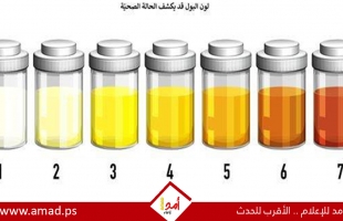 تحذير - الدم في البول ينذر بأمراض خطيرة