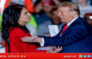 "تهمة" قد تطيح بترشيح تولسي غابارد لمنصب الاستخبارات الوطنية الأمريكية