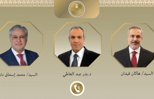 وزير خارجية مصر يبحث مع نظيريه الباكستاني والتركي التطورات الإقليمية
