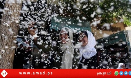 "التربية" تعلن نتائج الثانوية العامة لطلبة غزة من مواليد 2007