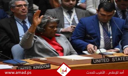 فيتو أمريكي يفشل مشروع قرار بمنح فلسطين العضوية الكاملة في الأمم المتحدة