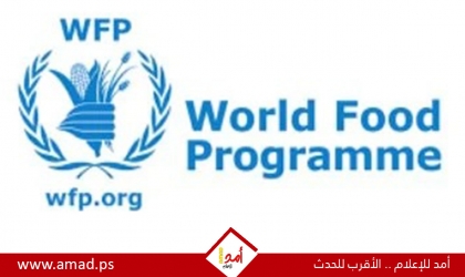 الغذاء العالمي: الظروف المعيشية مزرية للغاية في غزة رغم التحسن في إيصال المساعدات