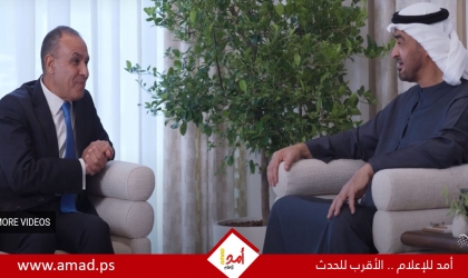 الرئيس الإماراتي ووزير الخارجية المصري يبحثان جهود وقف إطلاق النار في غزة - فيديو