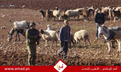 تقرير: هجوم استيطاني غير مسبوق في الأغوار الفلسطينية وفي محافظات بيت لحم والخليل وجنين