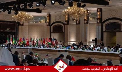 إجماع عربي إسلامي على إدانة الاعتداء الإسرائيلي وتأكيد على دعم فلسطين