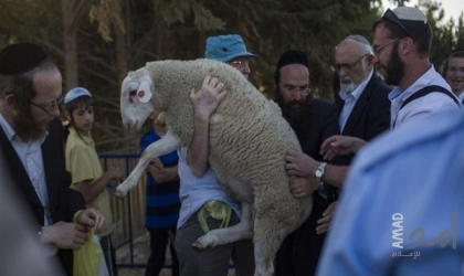 محافظة القدس: 7 محاولات لإدخال "قرابين" للمسجد الأقصى خلال "الفصح اليهودي" هذا العام