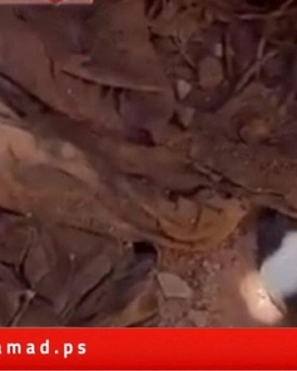 جيش الاحتلال يسمح لعناصر من حماس البحث عن جثامين الرهائن في قطاع غزة