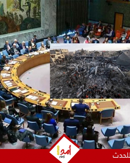 منصور: مشروع قرار جزائري أمام مجلس الأمن لوقف إطلاق النار في غزة