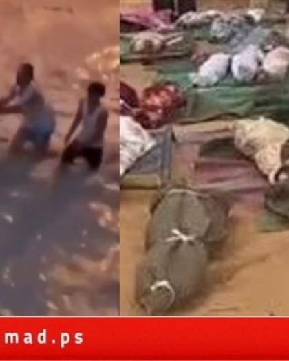 البرهان: ميليشيا الدعم السريع ارتكبت جرائم في مدينة الفاشر