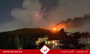 وال: 11شهيد بينهم رضيعة في غارات جيش الاحتلال على بلدات في جنوب لبنان- فيديو