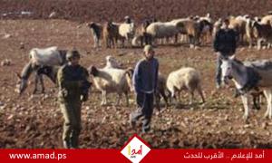 مسؤولون بجيش الاحتلال يحذرون من تصاعد عنف المستوطنين في الضفة