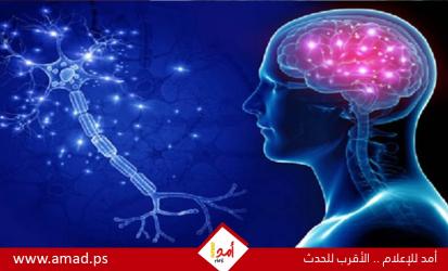 ماذا يحدث فى الدماغ عند بدء لاإصابة بمرض ألزهايمر؟