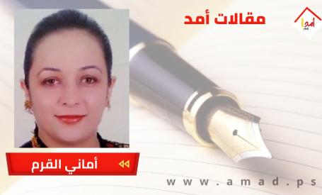 عضو الكونجرس مينينديز ونفوذ المال ومصر في أمريكا