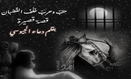 حبٌ وحربٌ خلفَ القُضبان